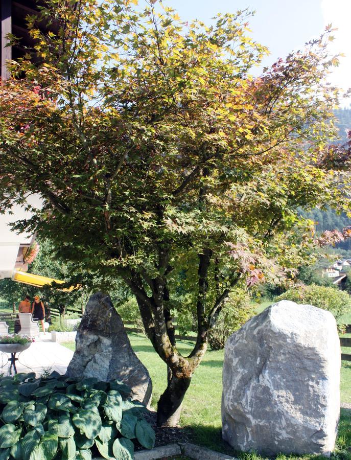 Appartement Muehle - Including Summercard, Sauna, Kaprun'S Largest Private Garden With Panoramic View Luaran gambar